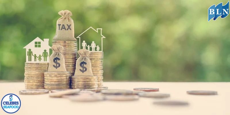 Comparison of Indonesian Tax Increase Policy from a Global Perspective